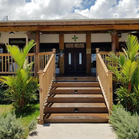 Relax Villa Ocho Rios Exterior foto